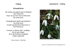 Schneegloeckchen-Rueckert.pdf